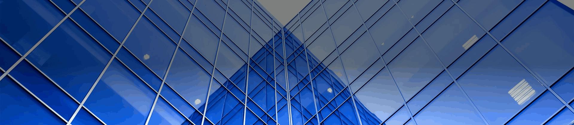 Automotive Window Tint